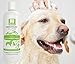 Nootie Dog Shampoo with Soothing Aloe Best for All Pets Including Dogs, Cats, and Horses - 100% All Natural Deodorizing Soap Free Formula - Clear, 16 Fl Oz (Pack of 1), SAO16