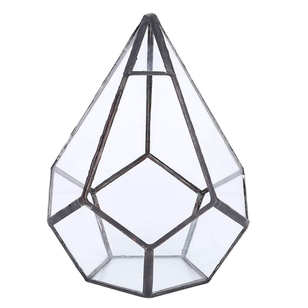 Stylish Geometric Terrarium Pot Unique Shape Glass Flowerpot Plant Planter Succulent Plants Container Home Decoration
