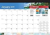 Paradise 2019 17 x 12 Inch Monthly Desk Pad Calendar, Scenic Travel Nature Tropical by 