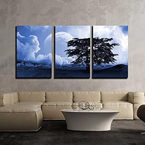 3 Piece Canvas Wall Art - Desert Landscape - Modern Home Art Stretched and Framed Ready to Hang - 16"x24"x3 Panels