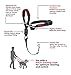 HALTI Optifit Headcollar - To Stop Your Dog Pulling on the Leash. Adjustable, Reflective and Lightweight, with Padded Nose Band. Dog Training Anti-Pull Collar for Small Dogs (Size Small)