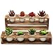 MyGift Rustic Burnt Wood Tiered Succulent Planter Stand with 8 Mini White Ceramic Plant Pots, Set of 2thumb 1