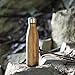 Water Bottle - Vacuum Insulated Water Bottle | Leak Proof No Sweating, 17 or 30 Oz