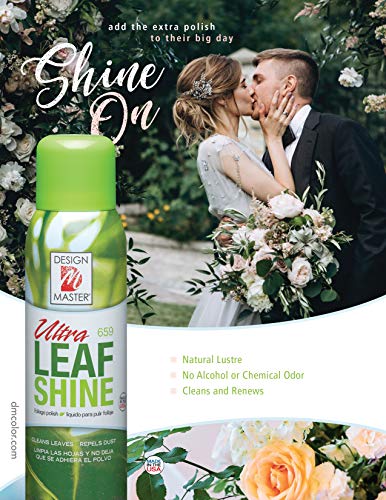 Design Master 659 Sprays, Ultra Leaf Shine - Thumbnail 3