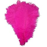 MELADY Pack of 100pcs Natural Ostrich Feathers 14-16inch(35~40cm) for Home Wedding Party Decoration (rose)