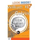 How Brains Think: Evolving Intelligence, Then And Now (Science Masters Series)