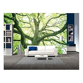 Big Tree in a Forest. Fresh Green and Ecology - Removable Wall Mural | Self-Adhesive Large Wallpaper - 66x96 inches