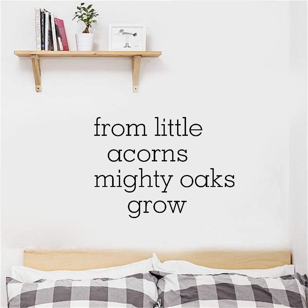 little acorns furniture