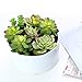 MyGift® 6 inch Realistic Artificial Faux Mixed Succulent Plants Arrangement w/White Round Ceramic Vase