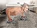 3-In-1 Ab Roller Kit - Workout Equipment for Push Up Abdominal Workout and More Strength Training - Perfect Exercise Equipment for Home Gym (Include Knee Pad)