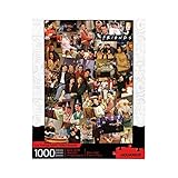 AQUARIUS Friends Collage Puzzle