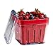 Chefn Bramble Berry Basket and Colander (1-Quart, Cherry) (Two-Pack)