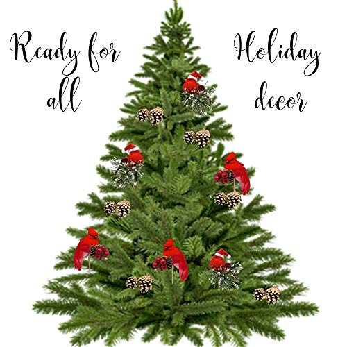 image for BANBERRY DESIGNS Cardinals Chrismtas Ornaments - Set of 6 Floral Clip-