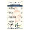 Top-Selling-Flies-Guides-TOP-Assortment-NORTHEAST-31-flies