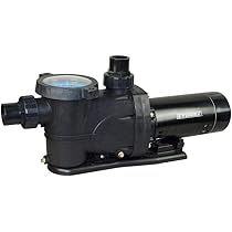 Everbilt 1.5 HP 230-Volt/115-Volt Bomba 