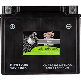 Interstate Batteries YTX12-BS Powersports Battery 12V 10Ah 175CCA AGM (CITX12-BS)
