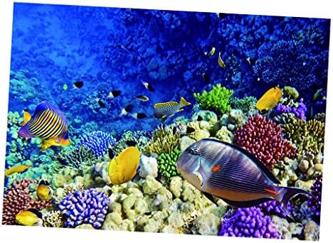 Cuticate 水族館の背景ポスター水槽の壁紙の装飾シーワールド 76x56cm B01z8w75 807円 人気海外一番 100 品質保証 全品送料無料 即日出荷 Sale開催中