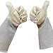 Rose Gardening Gloves by Euphoria Garden - Cowhide Leather Garden Gauntlet Gloves - Puncture Resistant Work Gloves for Men and Women, M - Best for Pruning Blackberries and Thorny Bushes