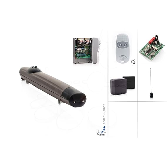 CAME Drehtorantrieb AMICO 24V/1 (Set M)