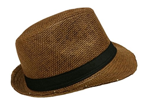 dark brown fedora hat