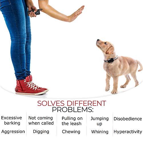 Enrivik Small Size Dog Training Collar with Remote Perfect for Small