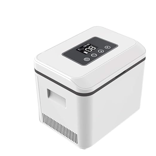 Nevera de insulina con correa – Nevera portátil para medicina y ...