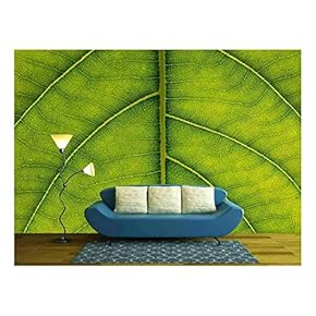Green Leaf Texture - Removable Wall Mural | Self-Adhesive Large Wallpaper - 66x96 inches