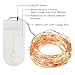 Oak Leaf 30-LED Fairy String Lights, Battery Operated, Warm White, Set of 2