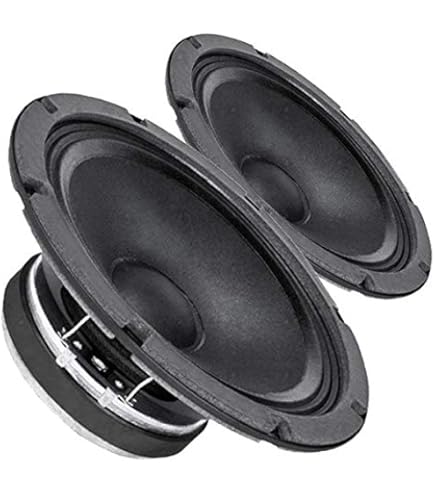 Amazon.com: Pair Faital Pro 12PR310 12