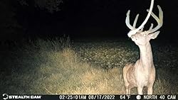 Stealth Cam DS4K Transmit Cellular AT&T OR VERIZON