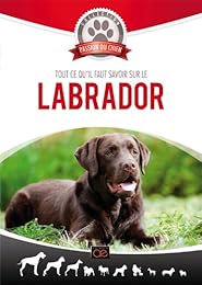 Tout Ce Qu'il Faut Savoir Sur Le Labrador