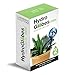 Gardening Solutions Hydro Globes Mini Automatic Watering Bulbs, 2 Piece Deluxe Set