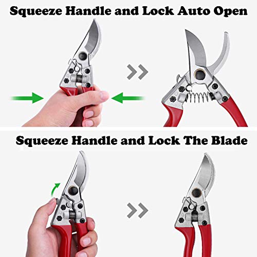 HyleJhJy 8" Bypass Pruning Shears with Stainless SK5 Steel Blades + Straight Tip Pruning Shears Herb Pruning Shears Florist Scissors- Hand Pruner Scissors for Garden Harvesting Fruits Vegetables,Red - Thumbnail 3