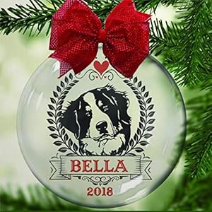 Doorzichtige kerstbal met Berner Sennenhond op