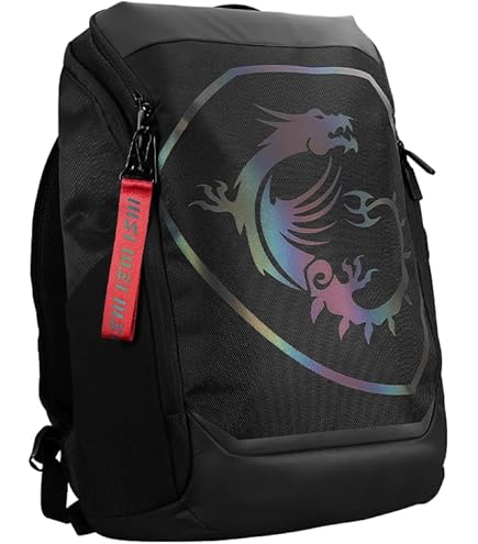 Amazon.com: MSI Urban Raider Gaming Laptop Backpack, Quick