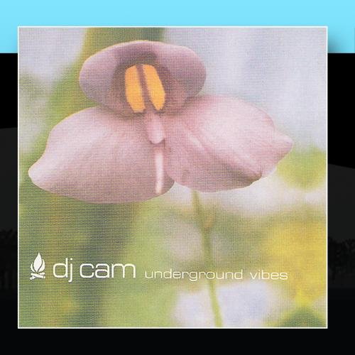 DJ Cam - Underground Vibes - Zortam Music