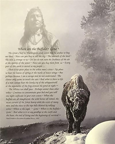 Amazon Com Unframed Print Where Are The Buffalo Gone Native