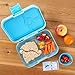UpChefs Sandwich Cutters For kids - Create Healthy School Lunches in Minutes with These Fun Bento Lunch box Accessories - Includes Fruit and Vegetable cookie cutters for kids Plus Fun Scratch Notes