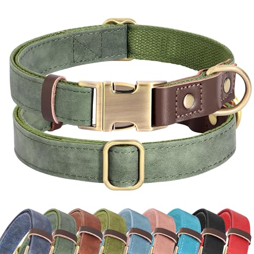 Didog PU Leather Dog Collar