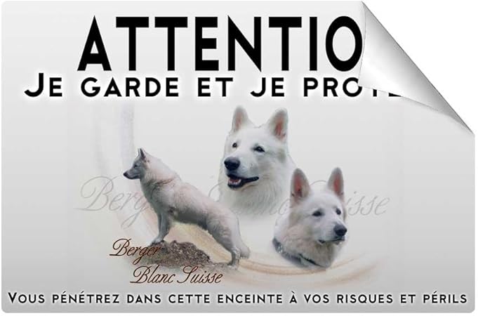 Pets Easy Stickers Attention Au Chien Berger Blanc Suisse Poil Long