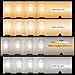 Kohree ST58 Vintage LED Bulb 60 Watt Equivalent, 4000K Daylight White, 6W E26 Dimmable LED Filament Light Bulb for Restaurant, Home, Reading Room, 4 Pack