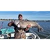 Catfish-Bubble-Gum-2-Pack