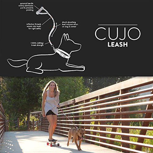 image for EzyDog Cujo Shock Absorbing Bungee Dog Leash - Best Dog Rope Training 