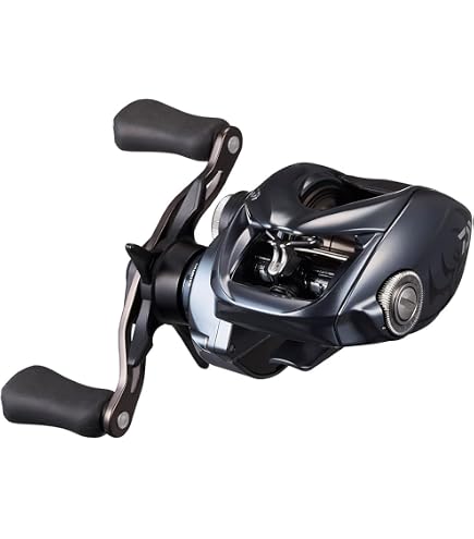 Daiwa Bait Reel 20 TATULA SV TW 103SH (2020 Model) : Amazon.ca