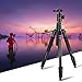 Video Tripod with Fluid Head, Heavy Duty Aluminum Alloy, Max Height 74 in, Max Load 220 lb, Compatible with Manfrotto, Canon, Nikon, Sony DSLR Camera Camcorder