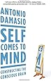 Self Comes to Mind: Constructing the Conscious Brain