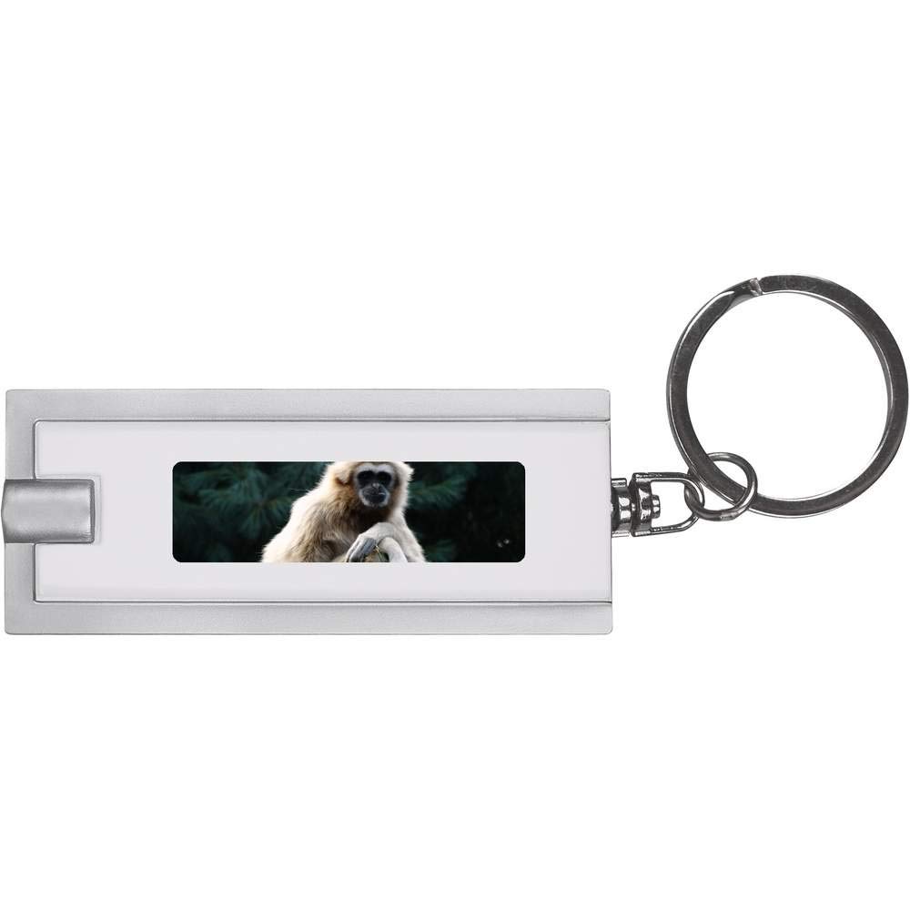 AzeedaGibbon' Keyring LED Torch (KT00008451)