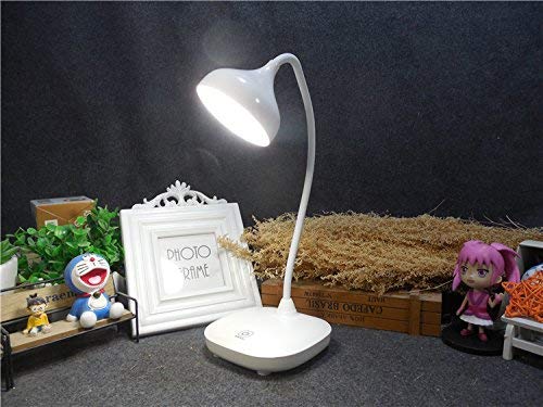 Everyday Desire LED Desk Lamp with USB Charging Port (White)