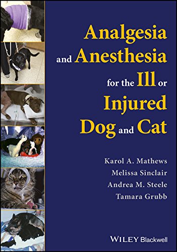 !BEST Analgesia and Anesthesia for the Ill or Injured Dog and Cat R.A.R
