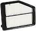Wix 49031 Air Filter Panel